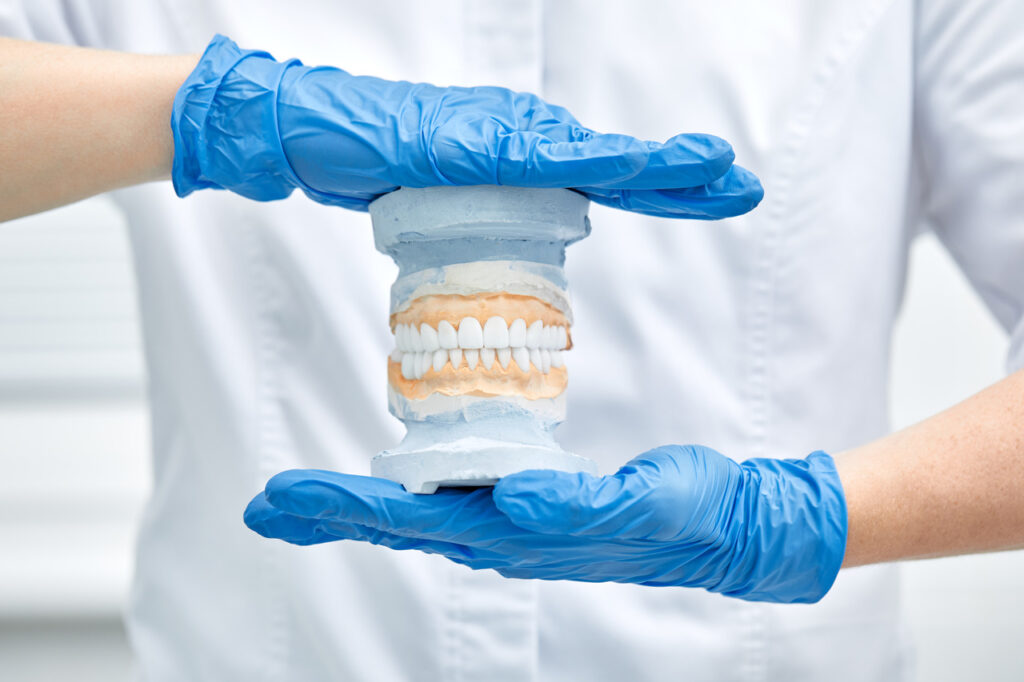 A girl holding a model of a jaw and teeth